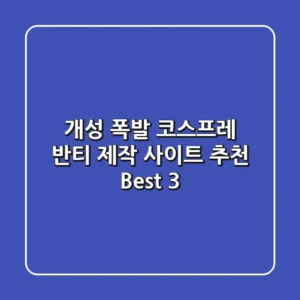 개성 폭발! 코스프레 반티 제작 사이트 추천 Best 3