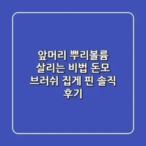 앞머리 뿌리볼륨 살리는 비법: 돈모 브러쉬 & 집게 핀 솔직 후기