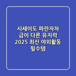 시세이도 파란자차, 급이 다른 유지력! ☀️ 2025 최신 야외활동 필수템