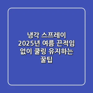 냉각 스프레이 : 2025년 여름, 끈적임 없이 쿨링 유지하는 꿀팁