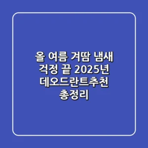 올 여름 "겨땀 냄새 걱정 끝"! 2025년 데오드란트추천 총정리