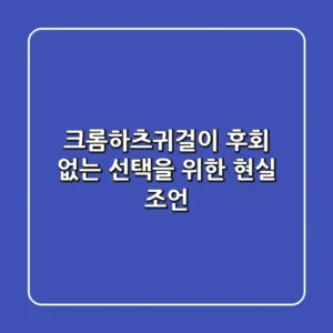 크롬하츠귀걸이, 후회 없는 선택을 위한 현실 조언