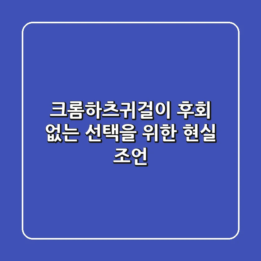 크롬하츠귀걸이, 후회 없는 선택을 위한 현실 조언