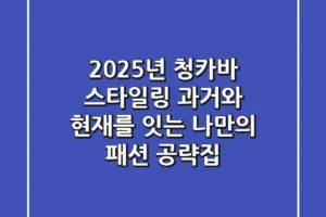 2025년 청카바 스타일링, 과거와 현재를 잇는 나만의 패션 공략집