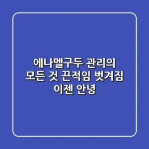 에나멜구두 관리의 모든 것: 끈적임, 벗겨짐 이젠 안녕! ✨