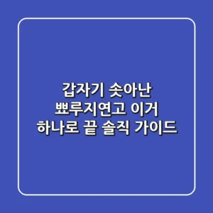 갑자기 솟아난 뾰루지연고, 이거 하나로 끝? 솔직 가이드