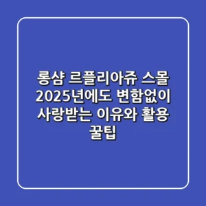 롱샴 르플리아쥬 스몰: 2025년에도 변함없이 사랑받는 이유와 활용 꿀팁