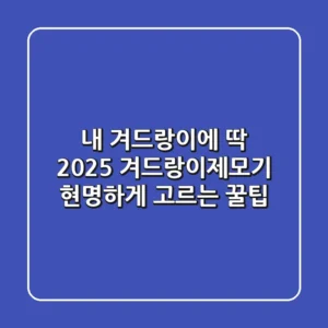 내 겨드랑이에 딱! 2025 겨드랑이제모기 현명하게 고르는 꿀팁