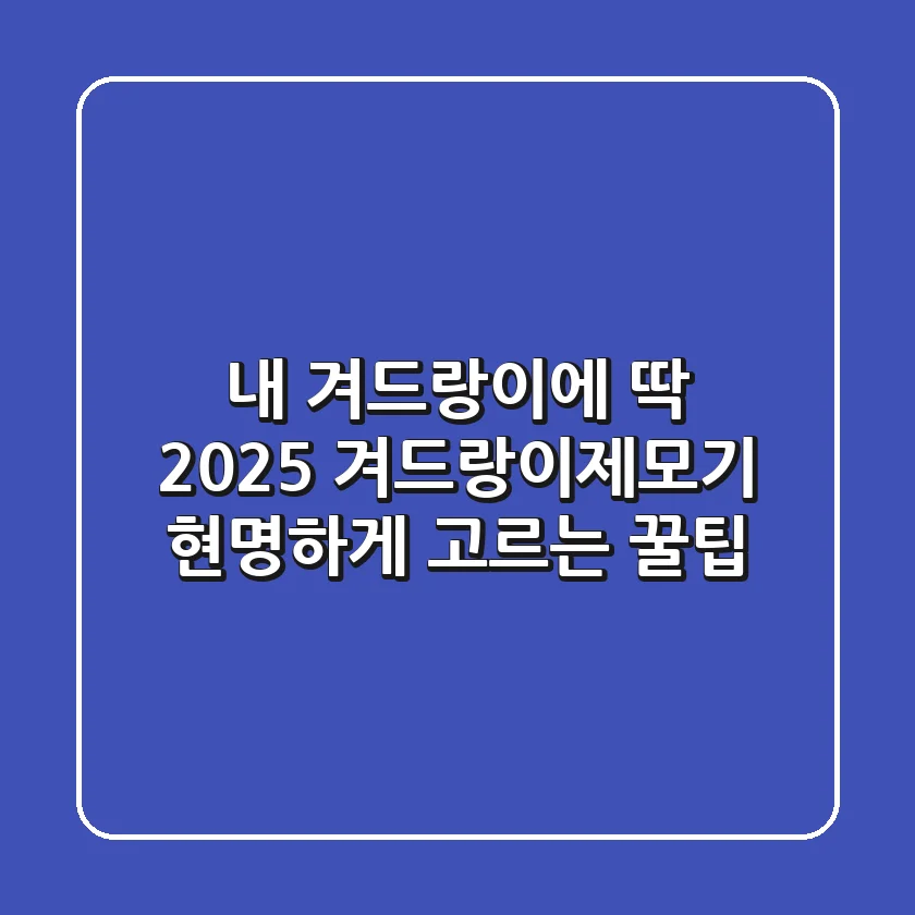 내 겨드랑이에 딱! 2025 겨드랑이제모기 현명하게 고르는 꿀팁