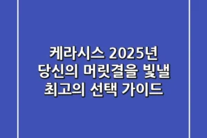 케라시스, 2025년 당신의 머릿결을 빛낼 최고의 선택 가이드