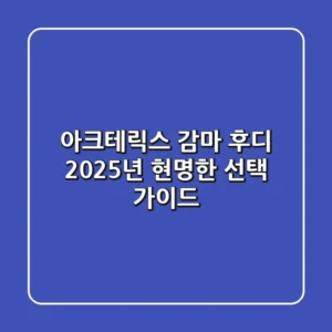 아크테릭스 감마 후디, 2025년 현명한 선택 가이드