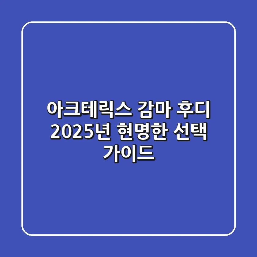 아크테릭스 감마 후디, 2025년 현명한 선택 가이드