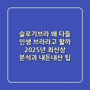 슬로기브라, 왜 다들 '인생 브라'라고 할까? 2025년 최신상 분석과 내돈내산 팁