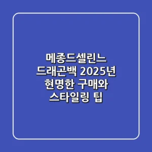 메종드셀린느 드래곤백, 2025년 현명한 구매와 스타일링 팁