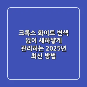 크록스 화이트 변색 없이 새하얗게 관리하는 2025년 최신 방법
