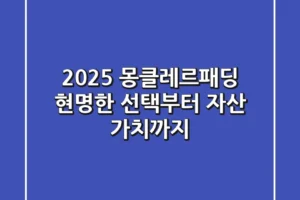 2025 몽클레르패딩, 현명한 선택부터 자산 가치까지