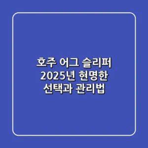 호주 어그 슬리퍼, 2025년 현명한 선택과 관리법