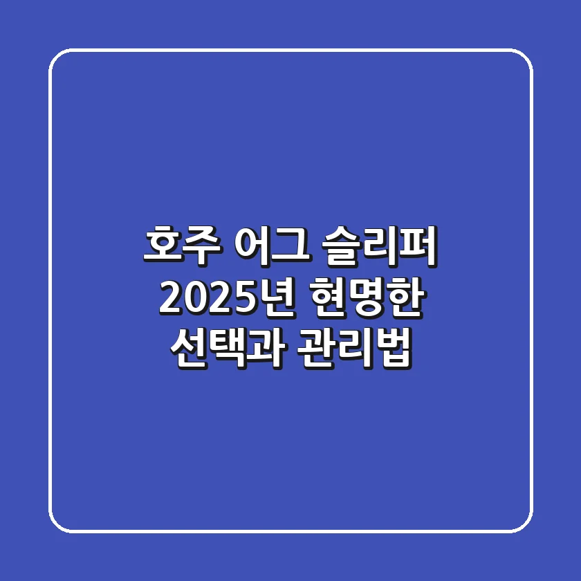 호주 어그 슬리퍼, 2025년 현명한 선택과 관리법