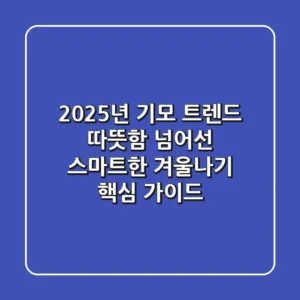 2025년 기모 트렌드: 따뜻함 넘어선 스마트한 겨울나기 핵심 가이드