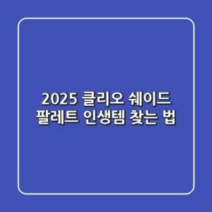 2025 클리오 쉐이드 팔레트, 인생템 찾는 법