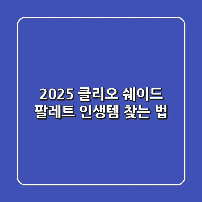 2025 클리오 쉐이드 팔레트, 인생템 찾는 법