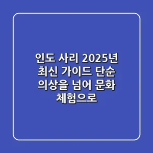 인도 사리, 2025년 최신 가이드: 단순 의상을 넘어 문화 체험으로