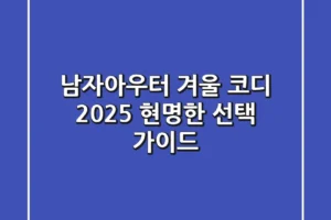 남자아우터 겨울 코디, 2025 현명한 선택 가이드