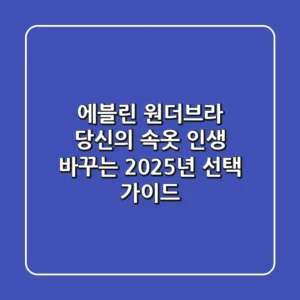 에블린 원더브라, 당신의 속옷 인생 바꾸는 2025년 선택 가이드