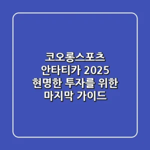 코오롱스포츠 안타티카 2025, 현명한 투자를 위한 마지막 가이드