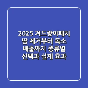 2025 겨드랑이패치, 땀 제거부터 독소 배출까지! 종류별 선택과 실제 효과