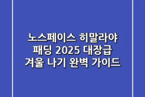 노스페이스 히말라야 패딩: 2025 대장급 겨울 나기 완벽 가이드