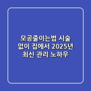 모공줄이는법, 시술 없이 집에서! 2025년 최신 관리 노하우