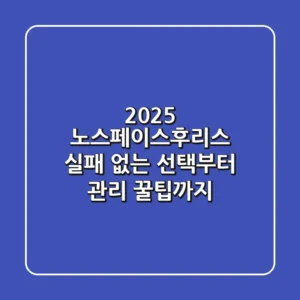 2025 노스페이스후리스: 실패 없는 선택부터 관리 꿀팁까지!