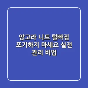 앙고라 니트 털빠짐, 포기하지 마세요! 실전 관리 비법