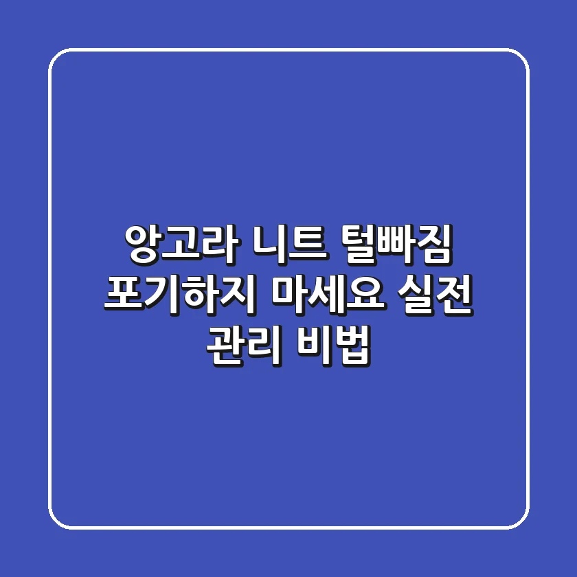 앙고라 니트 털빠짐, 포기하지 마세요! 실전 관리 비법
