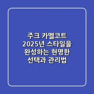 주크 카멜코트: 2025년 스타일을 완성하는 현명한 선택과 관리법