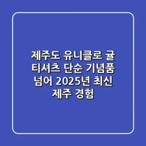 제주도 유니클로 귤 티셔츠, 단순 기념품 넘어 2025년 최신 제주 경험!
