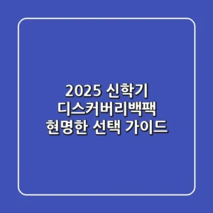 2025 신학기, 디스커버리백팩 현명한 선택 가이드