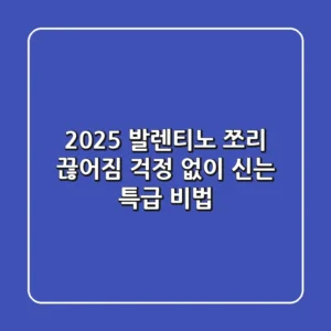 2025 발렌티노 쪼리, 끊어짐 걱정 없이 신는 특급 비법