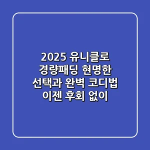 2025 유니클로 경량패딩, 현명한 선택과 완벽 코디법: 이젠 후회 없이!