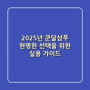 2025년 쿤달샴푸, 현명한 선택을 위한 실용 가이드