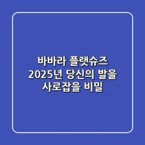 바바라 플랫슈즈, 2025년 당신의 발을 사로잡을 비밀!