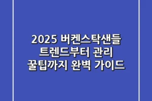 2025 버켄스탁샌들 트렌드부터 관리 꿀팁까지, 완벽 가이드!