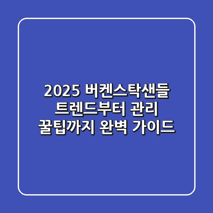 2025 버켄스탁샌들 트렌드부터 관리 꿀팁까지, 완벽 가이드!