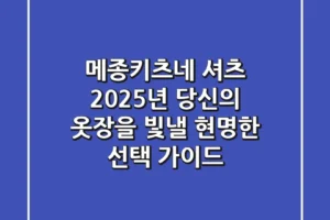 메종키츠네 셔츠, 2025년 당신의 옷장을 빛낼 현명한 선택 가이드